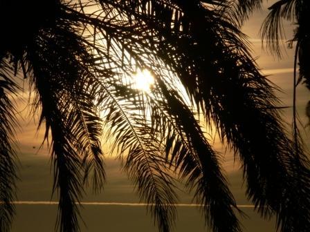 Fotografia de David - Galeria Fotografica: Utopias al amanecer - Foto: 