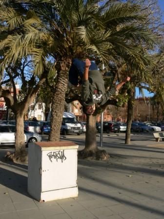 Fotografia de David - Galeria Fotografica: jumps in the air - Foto: 