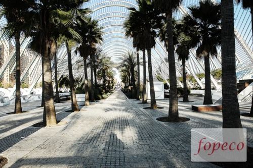 Fotografia de fopeco - Galeria Fotografica: Ciudad de las Artes y las Ciencias - Foto: 