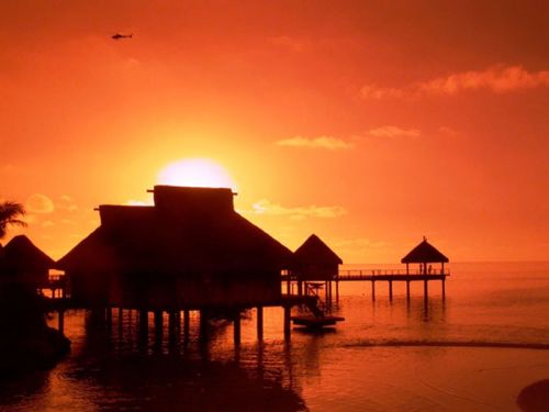 Fotografia de Factor9Fotos - Galeria Fotografica: BORA BORA - Foto: BORA BORA