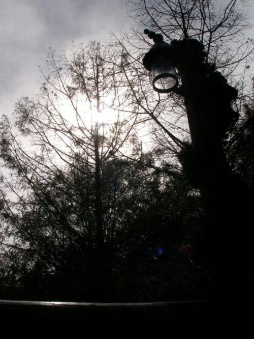 Fotografia de hzuluaga - Galeria Fotografica: TURISTIANDO - Foto: BELLEZA