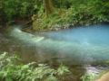 Fotos de Desiree -  Foto: COSTA RICA!!! - MAGICO!!! RIO CELESTE