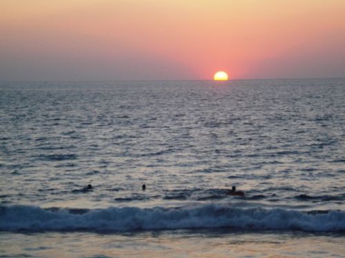 Fotografia de Desiree - Galeria Fotografica: COSTA RICA!!! - Foto: FLAMINGO