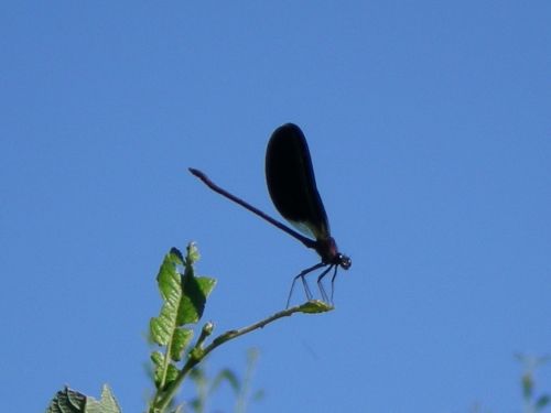 Fotografia de Vctor - Galeria Fotografica: rio - Foto: 