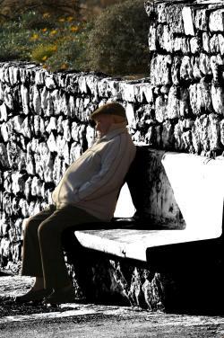 Fotografia de jose m - Galeria Fotografica: un paseo - Foto: 