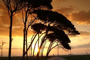 Fotografia de jose m - Galeria Fotografica: un paseo - Foto: 