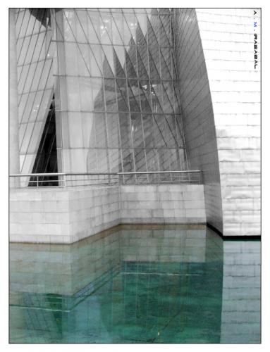 Fotografia de A . M . Irazabal - Galeria Fotografica: Museo Guggenheim Bilbao - Foto: Museo Guggenheim  1