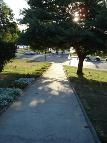 Fotografia de P.a.o - Galeria Fotografica: sonriee - Foto: caminito