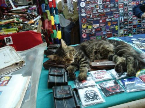 Fotografia de P.a.o - Galeria Fotografica: sonriee - Foto: disfrutA