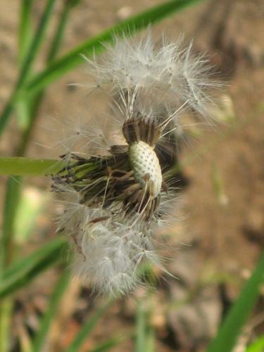 Fotografia de Esteban Ortiz - Galeria Fotografica: PASOS - Foto: Todo