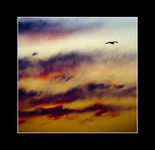 Fotografia de Sandra Karro - Galeria Fotografica: AFRICA 07 - Foto: 