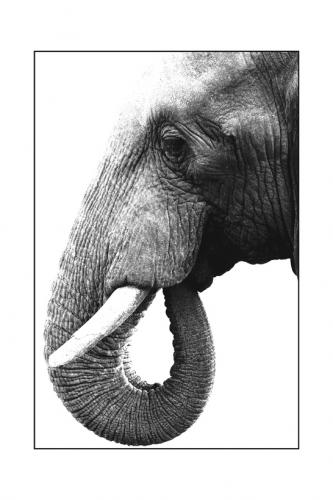 Fotografia de Sandra Karro - Galeria Fotografica: AFRICA 07 - Foto: 