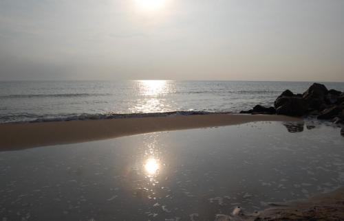 Fotografia de Soraya - Galeria Fotografica: Locura Playera - Foto: 