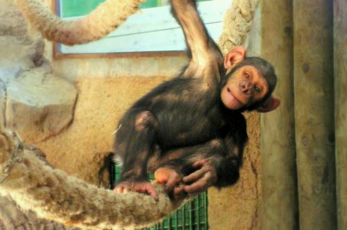 Fotografia de ROB - Galeria Fotografica: Alguna que otra - Foto: Colgado