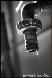 Fotografia de Vgran - Galeria Fotografica: Objetos cotidianos - Foto: Grifo