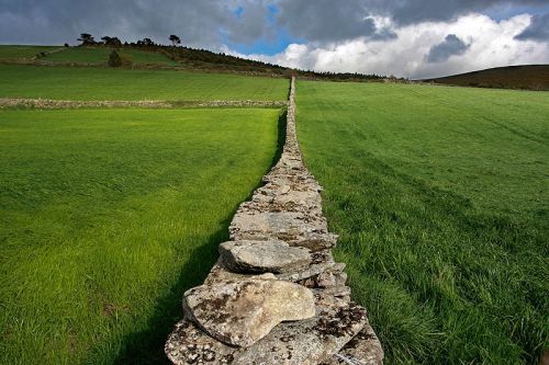 Fotografia de Costameiga - Galeria Fotografica: Luz Oscura - Foto: Pradera