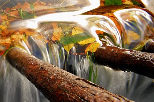 Fotografia de Costameiga - Galeria Fotografica: Luz Oscura - Foto: Reja