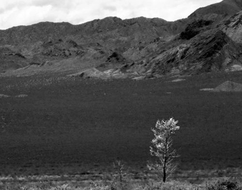 Fotografia de Martin Fotographer - Galeria Fotografica: Paisajes - Foto: 