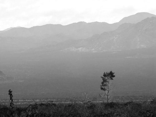 Fotografia de Martin Fotographer - Galeria Fotografica: Paisajes - Foto: 