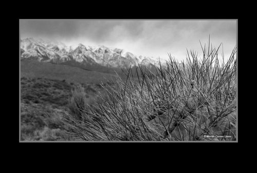 Fotografia de Martin Fotographer - Galeria Fotografica: Paisajes - Foto: 