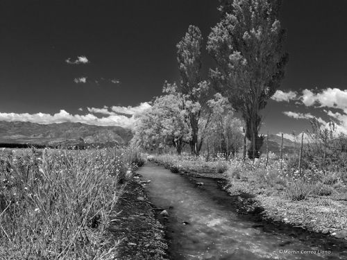 Fotografia de Martin Fotographer - Galeria Fotografica: Paisajes - Foto: 