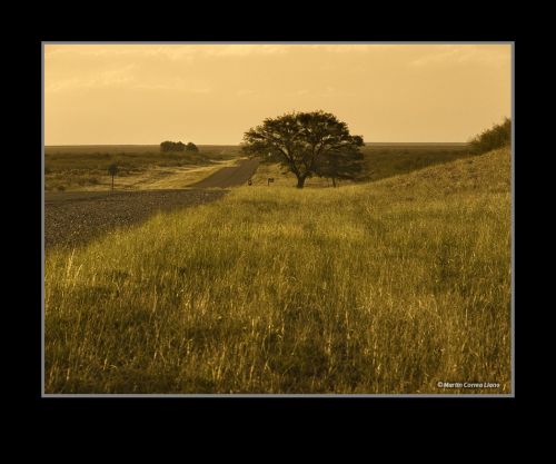 Fotografia de Martin Fotographer - Galeria Fotografica: Paisajes - Foto: 