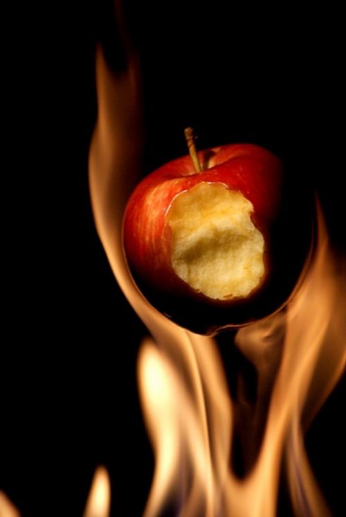 Fotografia de In Fokus Escuela de Fotografa - Galeria Fotografica: Fotografia Publicitaria - Foto: 