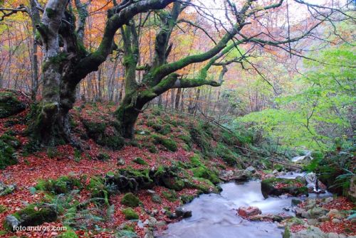 Fotografia de fotoandros - Galeria Fotografica: RIOS Y LAGOS - Foto: 