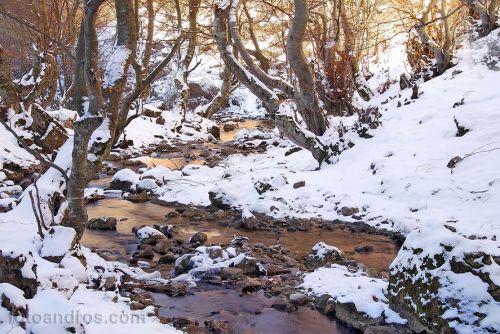Fotografia de fotoandros - Galeria Fotografica: RIOS Y LAGOS - Foto: 