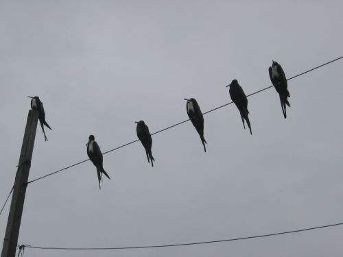 Fotografia de JORGE SALIM - Galeria Fotografica: CASUALES - Foto: ON LINE