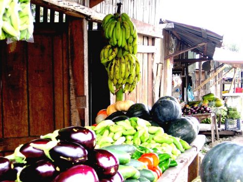 Fotografia de JORGE SALIM - Galeria Fotografica: CASUALES - Foto: Milagro