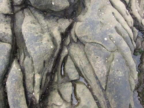 Fotografia de JORGE SALIM - Galeria Fotografica: CASUALES - Foto: Huellas