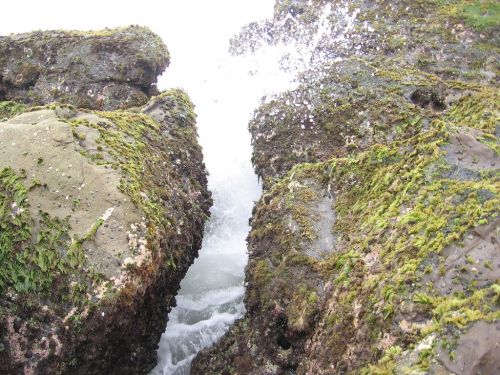 Fotografia de JORGE SALIM - Galeria Fotografica: CASUALES - Foto: Fresco