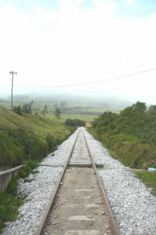 Fotografia de JORGE SALIM - Galeria Fotografica: CASUALES - Foto: Caminamos?
