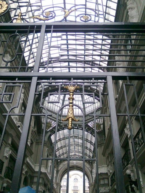 Fotografia de JORGE SALIM - Galeria Fotografica: CASUALES - Foto: Celosia Municipal