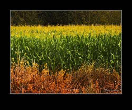Fotografia de Martin Fotographer - Galeria Fotografica: Paisajes - Foto: 