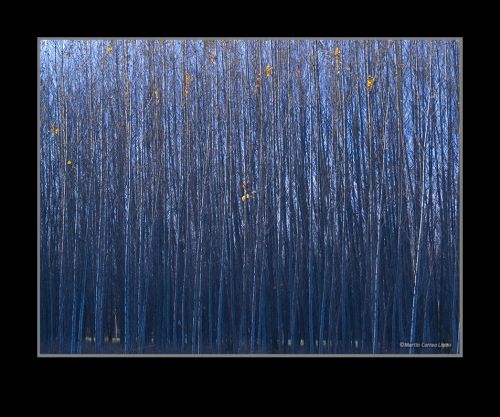 Fotografia de Martin Fotographer - Galeria Fotografica: Paisajes - Foto: 