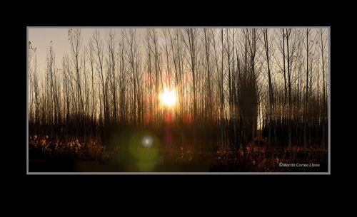 Fotografia de Martin Fotographer - Galeria Fotografica: Paisajes - Foto: 