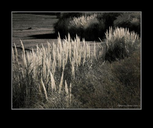 Fotografia de Martin Fotographer - Galeria Fotografica: Paisajes - Foto: 