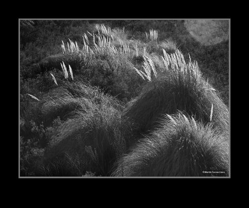 Fotografia de Martin Fotographer - Galeria Fotografica: Paisajes - Foto: 