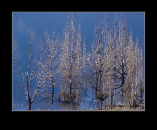 Fotografia de Martin Fotographer - Galeria Fotografica: Paisajes - Foto: 