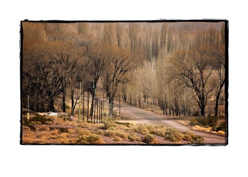 Fotografia de Martin Fotographer - Galeria Fotografica: Paisajes - Foto: 