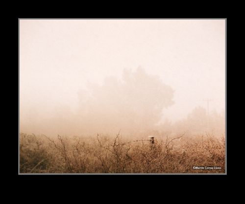 Fotografia de Martin Fotographer - Galeria Fotografica: Paisajes - Foto: 