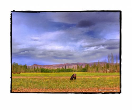 Fotografia de Martin Fotographer - Galeria Fotografica: Paisajes - Foto: 