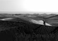 Fotos de Ana Beneyto -  Foto: Ana Beneyto - Playa de Maspalomas - Las Palmas