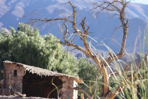 Fotografia de Angie  - Galeria Fotografica: bajo el atardecer de tilcara - Foto: colores de la tarde