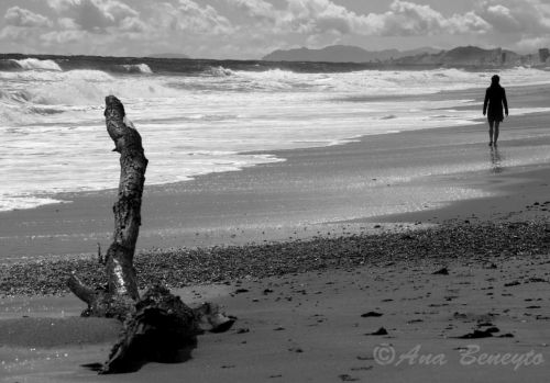 Fotografia de Ana Beneyto - Galeria Fotografica: Ana Beneyto - Foto: Junto a la orilla