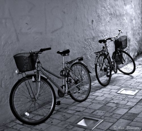 Fotografia de Ana Beneyto - Galeria Fotografica: Ana Beneyto - Foto: 