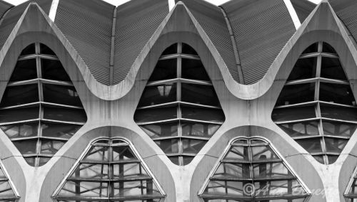 Fotografia de Ana Beneyto - Galeria Fotografica: Ana Beneyto - Foto: 