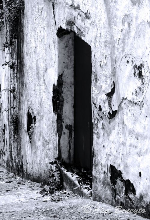 Fotografia de Ana Beneyto - Galeria Fotografica: Ana Beneyto - Foto: 